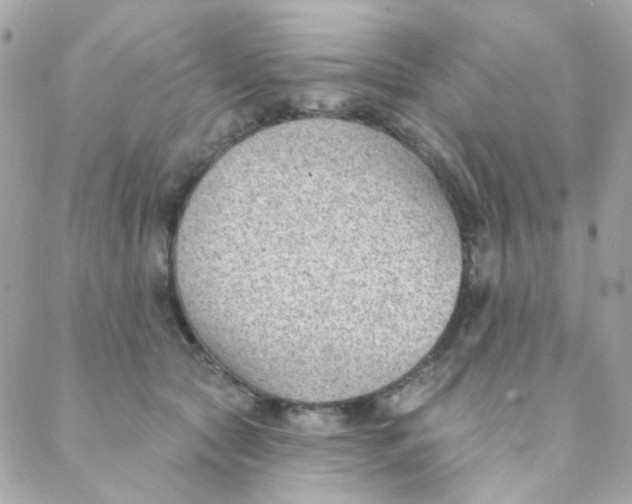 X0000088220561200706051325