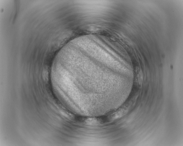 X0000088220562200706051325