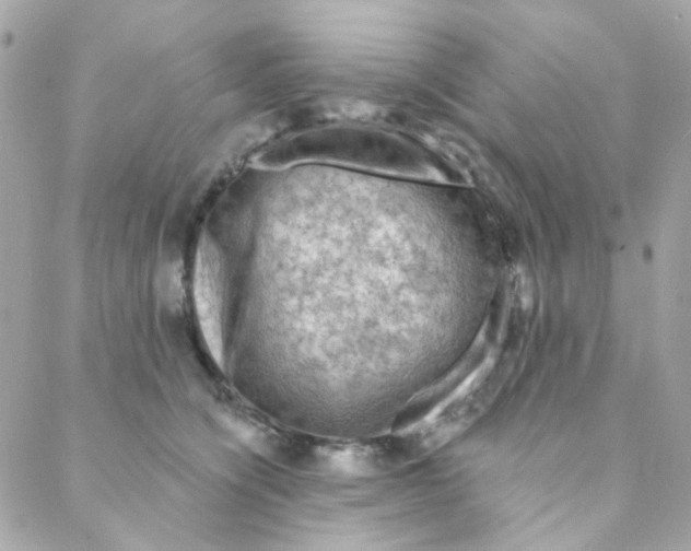 X0000088220564200706051325