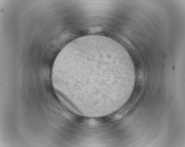 X0000088220565200706051325