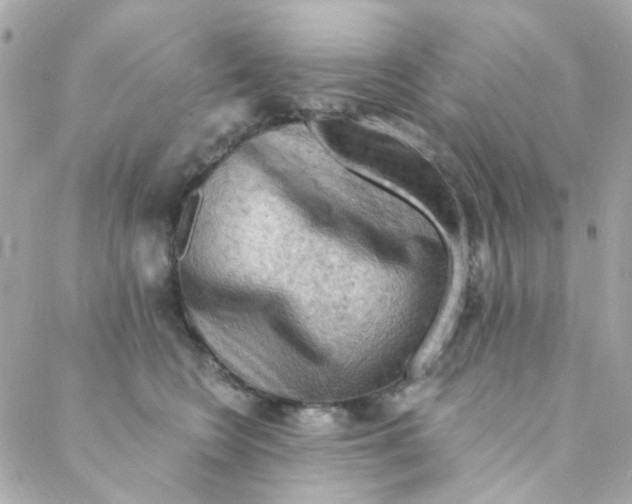 X0000088220566200706051325