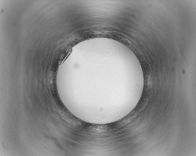 X0000088220567200706051325