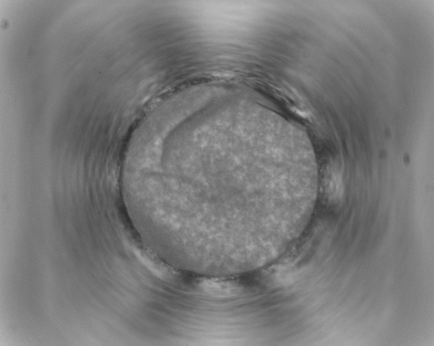 X0000088220568200706051325