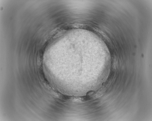 X0000088220569200706051325