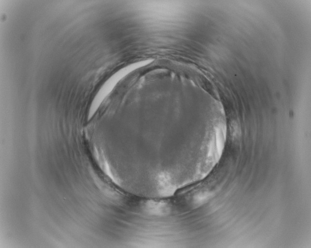 X0000088220570200706051325