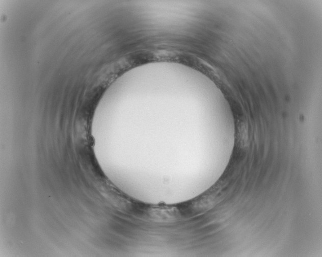 X0000088220571200706051325