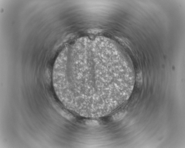 X0000088220572200706051325