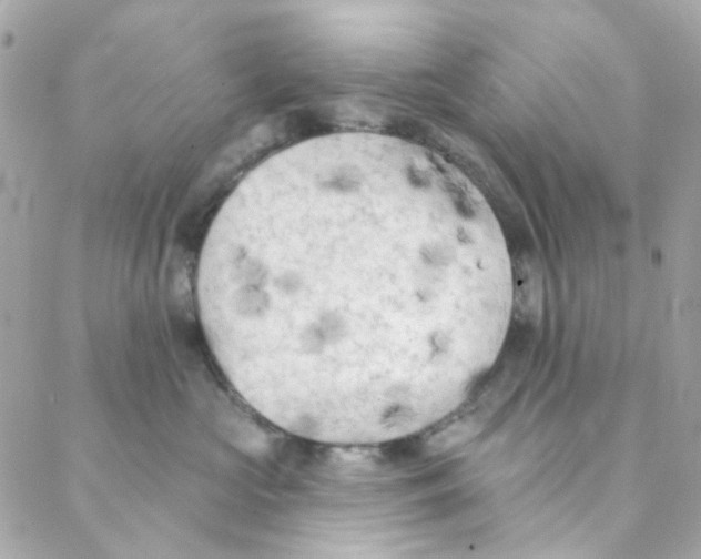 X0000088220573200706051325