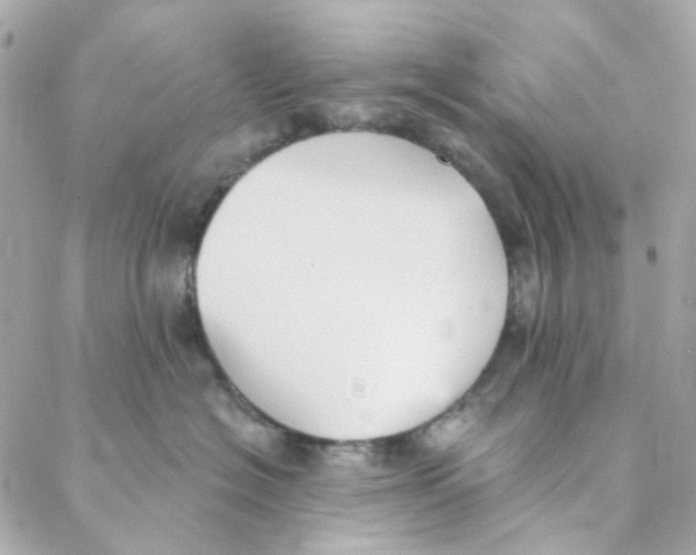 X0000088220574200706051325