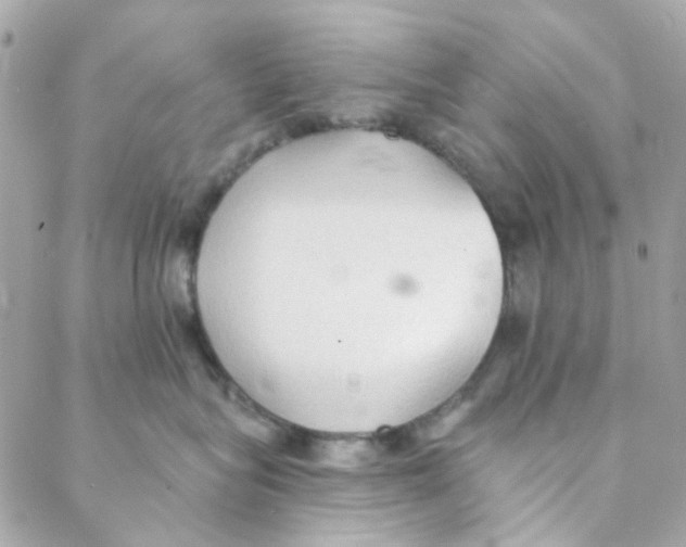 X0000088220575200706051325