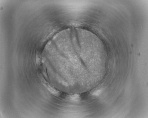 X0000088220576200706051325