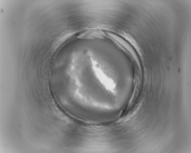 X0000088220577200706051325