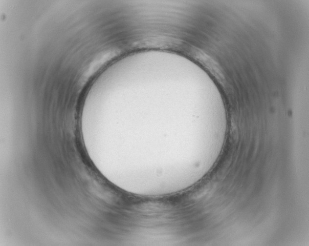 X0000088220578200706051325