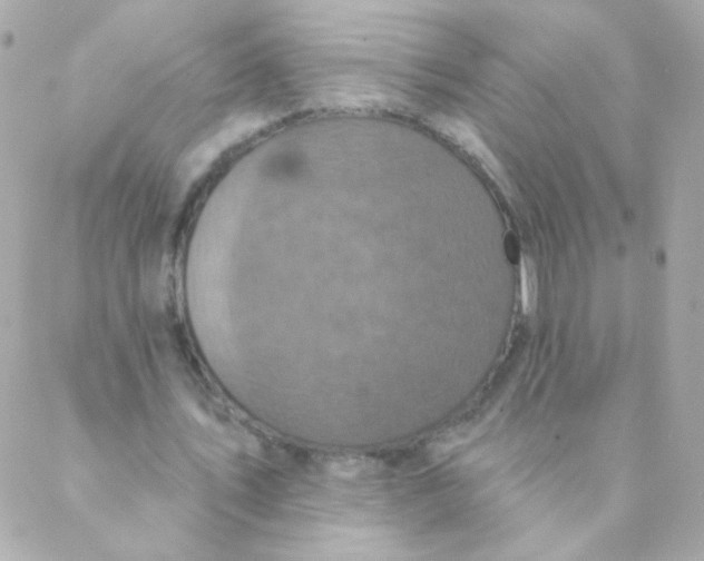 X0000088220579200706051325