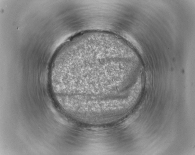 X0000088220580200706051325