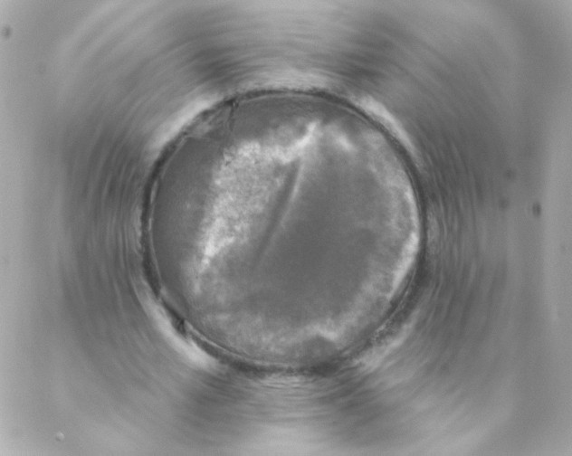 X0000088220581200706051325