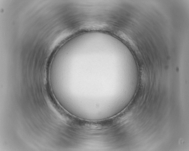 X0000088220582200706051325