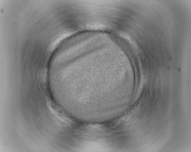 X0000088220583200706051325