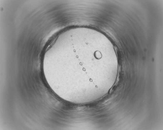 X0000088220584200706051325