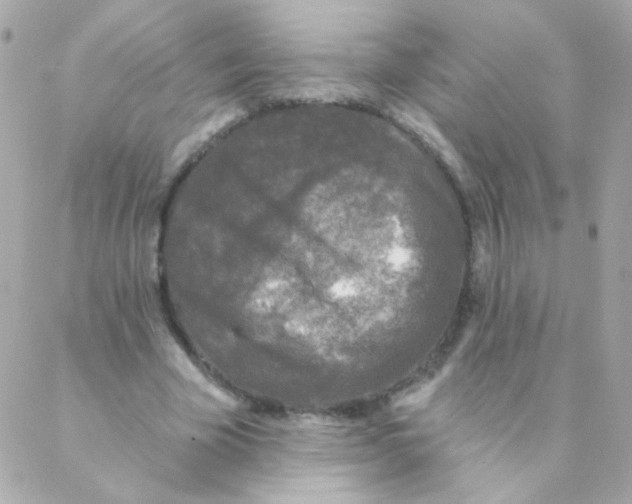 X0000088220585200706051325