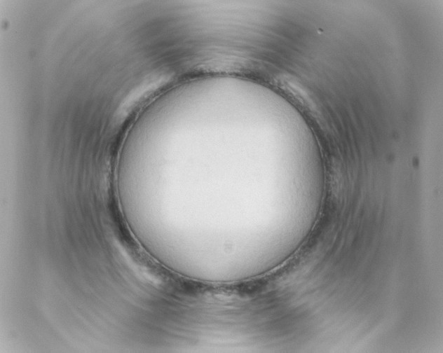 X0000088220586200706051325