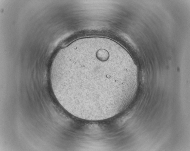 X0000088220588200706051324