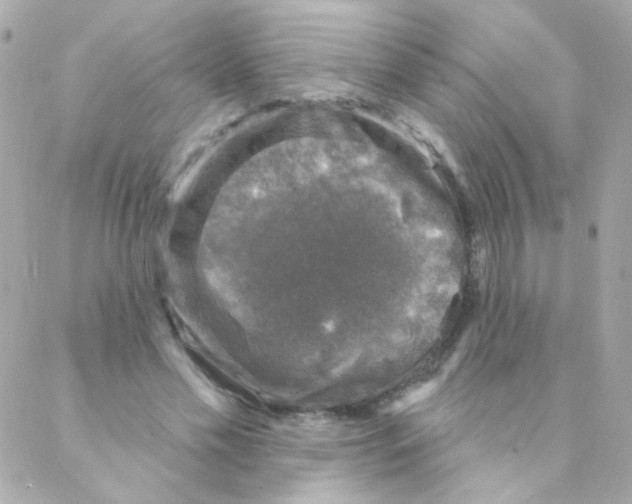 X0000088220589200706051324