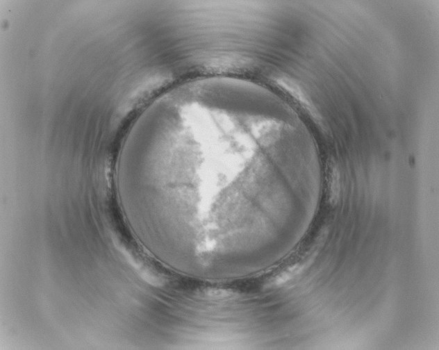 X0000088220590200706051324