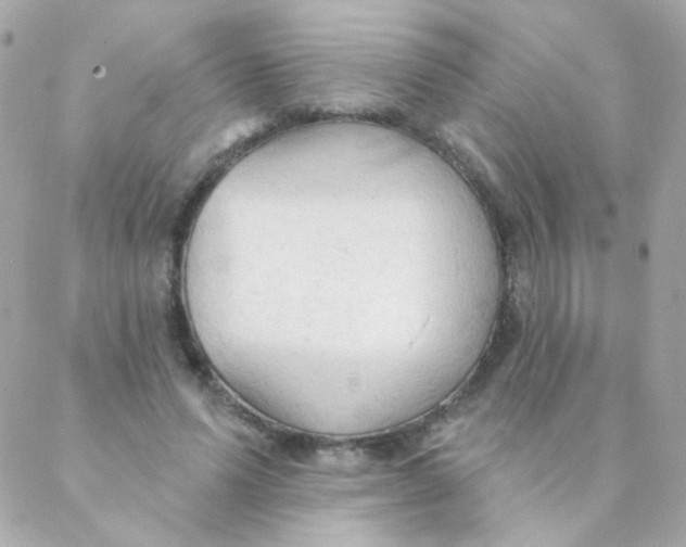 X0000088220591200706051324