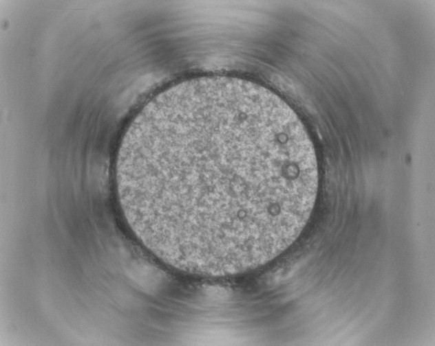 X0000088220592200706051324