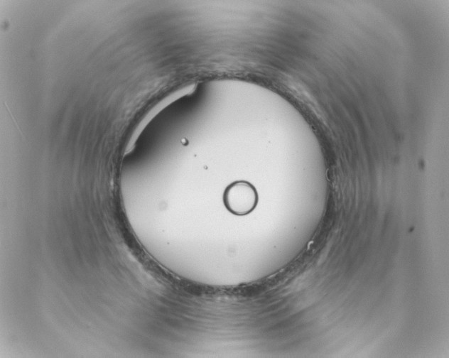 X0000088220593200706051324