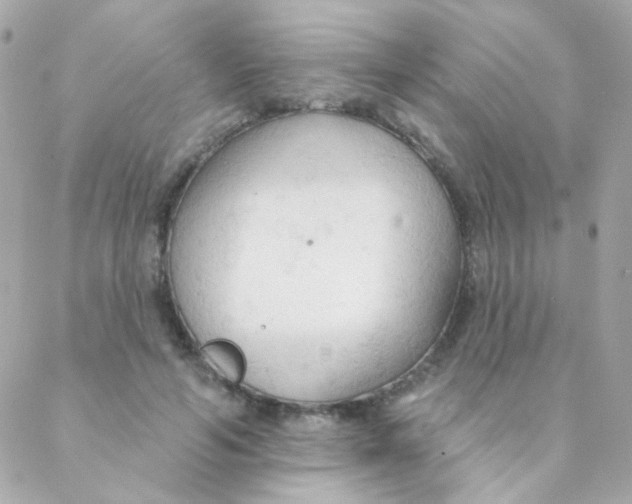 X0000088220594200706051324