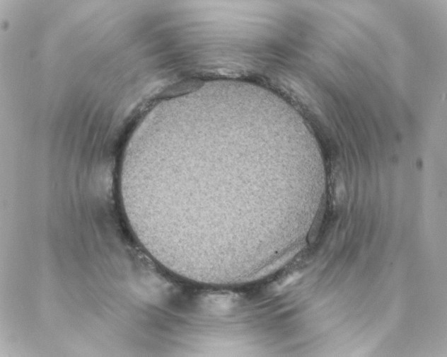 X0000088220595200706051324