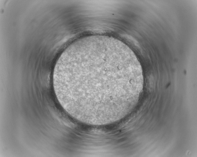 X0000088220596200706051324