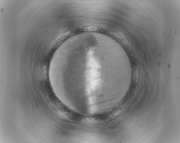 X0000088220598200706051324