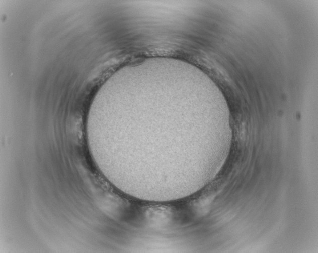 X0000088220599200706051324