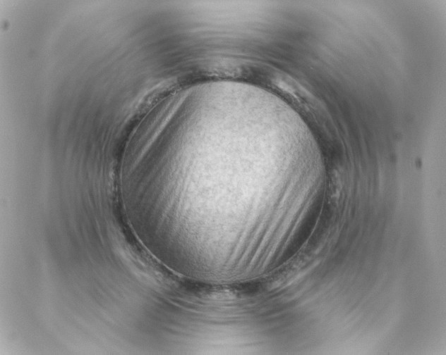 X0000088220600200706051324