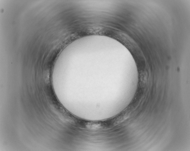 X0000088220602200706051324