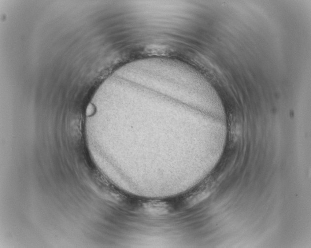 X0000088220603200706051324