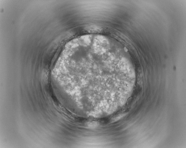 X0000088220604200706051324