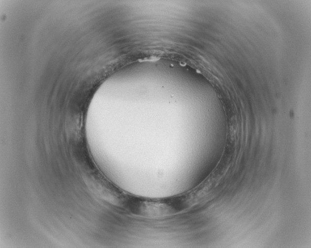 X0000088220605200706051324