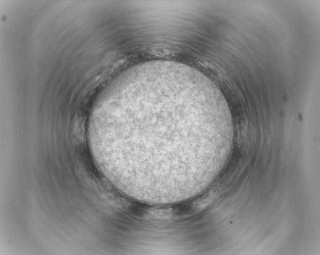 X0000088220606200706051324