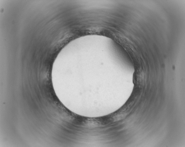 X0000088220608200706051324