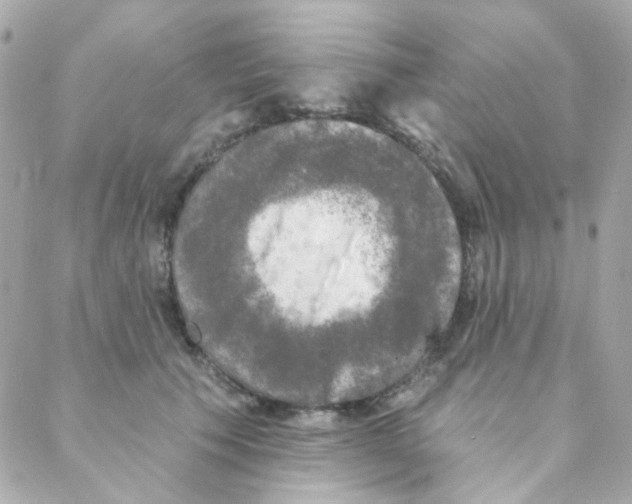 X0000088220609200706051324