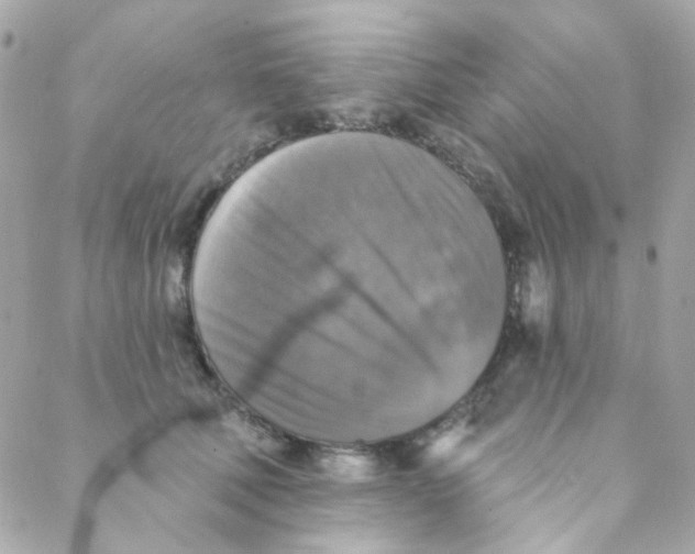 X0000088220610200706051324