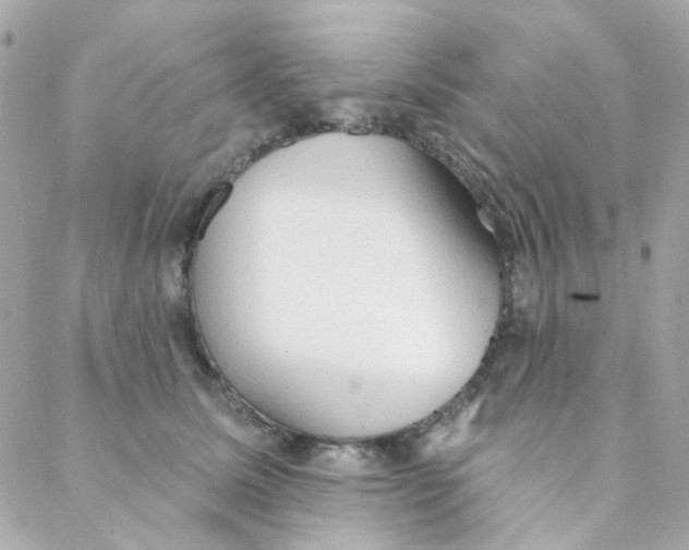 X0000088220611200706051324