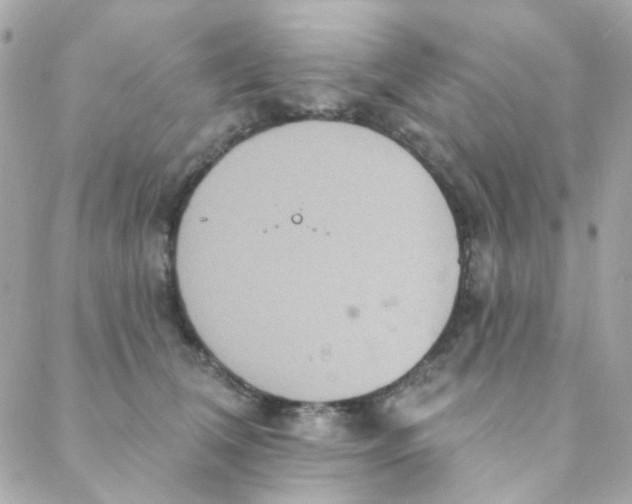 X0000088220612200706051324