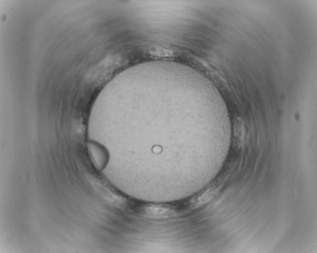 X0000088220614200706051324