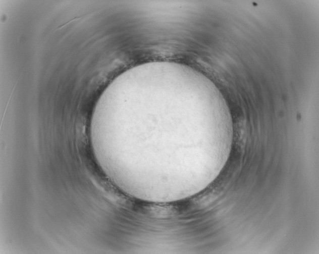 X0000088220615200706051324