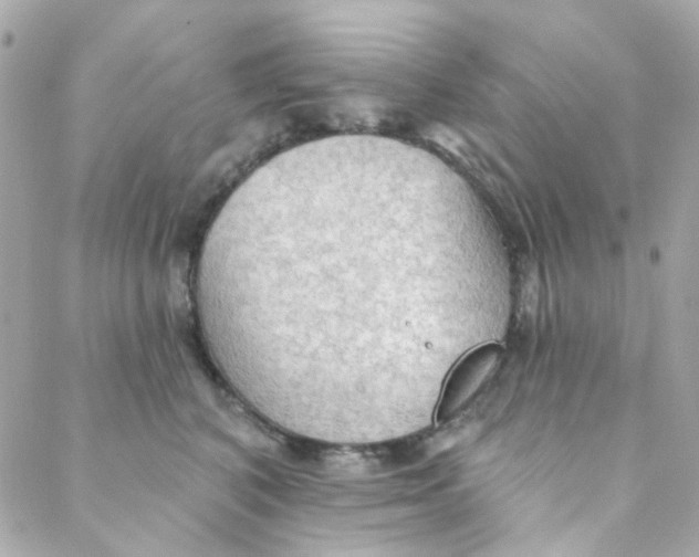 X0000088220616200706051324